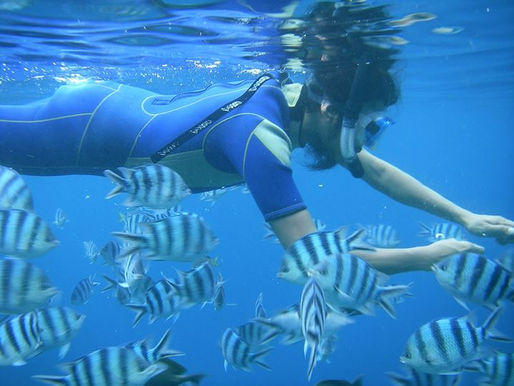 Snorkeling in okinawa maeda onna son the blu cave adventure toure ! book your holiday stay in cool s
