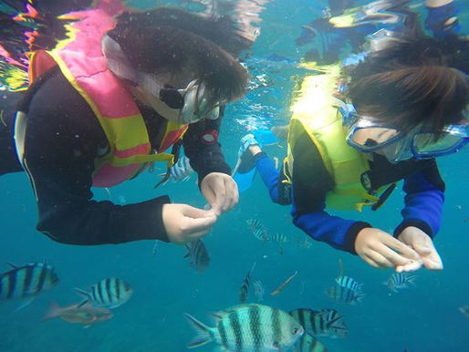 great snorkeling tour in okinawa warm temperature great experience
explore okinawa oasis . www.trop