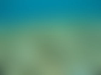 okinawa snorkeling activity tour stand up paddle board surfing kitesurfing and snorkeling . www.trop