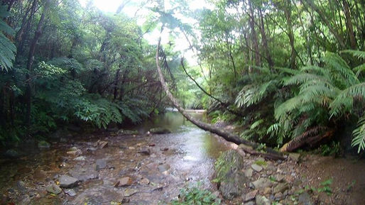 Okinawa predator zone waterfalls okinawa. guida turistica alle cascate di okinawa zona predator spor