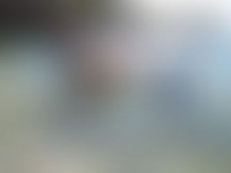 il paradiso tropicale del jappone okinawa. snorkel surf kitesurfi stand up paddle . al mare in spiag