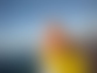 sup tour snorkeling surfing kitesurfing stand up paddle board school & tour dove fare tropvare a