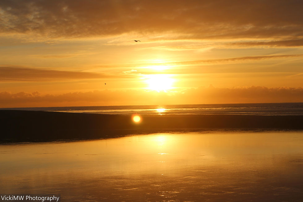 Sunrise2 11th March