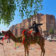 WhatsApp Image 2025-10-11 at 1.15.57 PM.jpeg