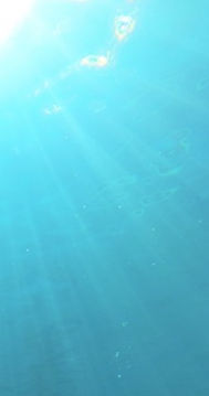 4916547_s_edited.jpg