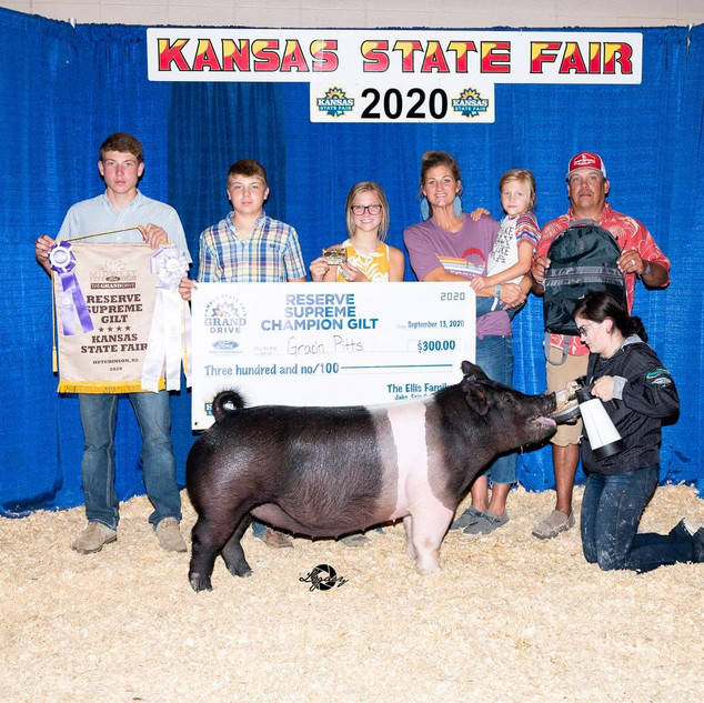 Gracin Pitts
Kansas State Fair
Reserve Supreme Gilt