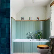 Bathroom design paint painting colour color elegant fun stylish clean simple home