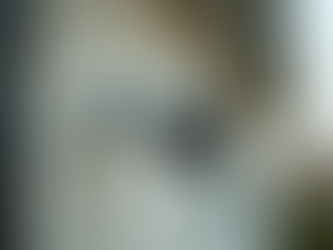 Understanding the Importance of Security in Everyday Life