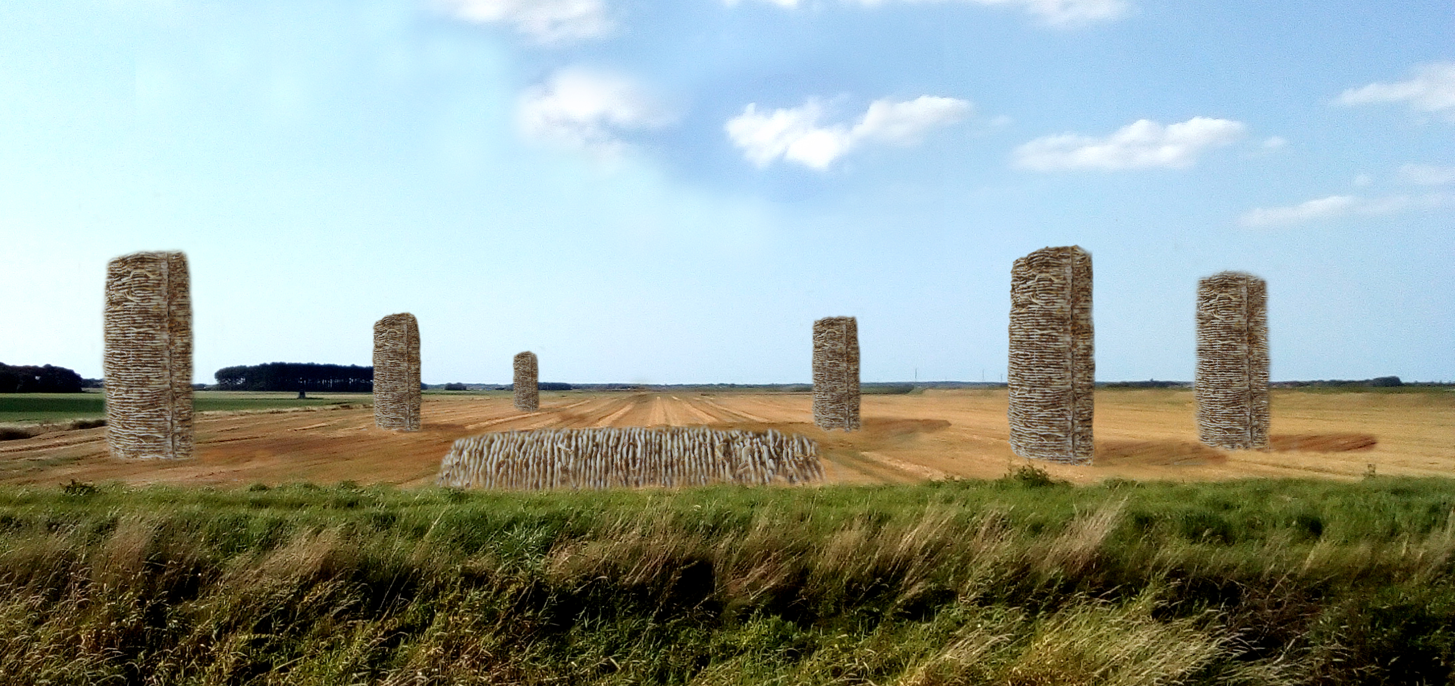 02;Glynn Marsden ;Field of Wheat