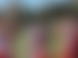 Πρόγραμμα αγώνων 18-19 Νοεμβρίου