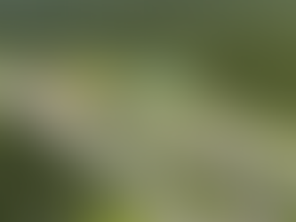 Ponowny przetarg na budowę Ośrodka Narciarstwa Biegowego i Biathlonu w Jakuszycach