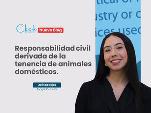 Responsabilidad civil derivada de la tenencia de animales domésticos