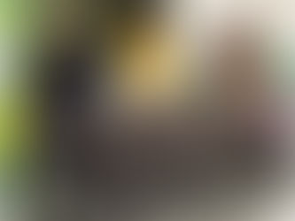 Danty Purnamasari Ingin Membantu Kepada Sesama Ibu dan AnakÂ