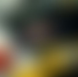 Por que Ayrton Senna parece imortal?