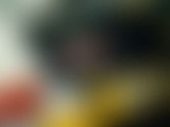 Por que Ayrton Senna parece imortal?