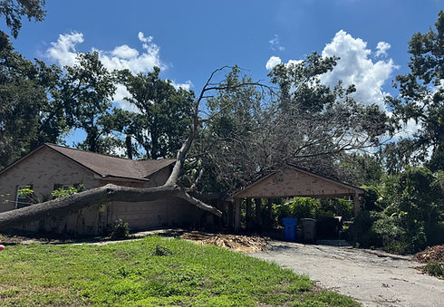 Distressed home Pinellas county