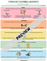 Types of Vestibular Input.png