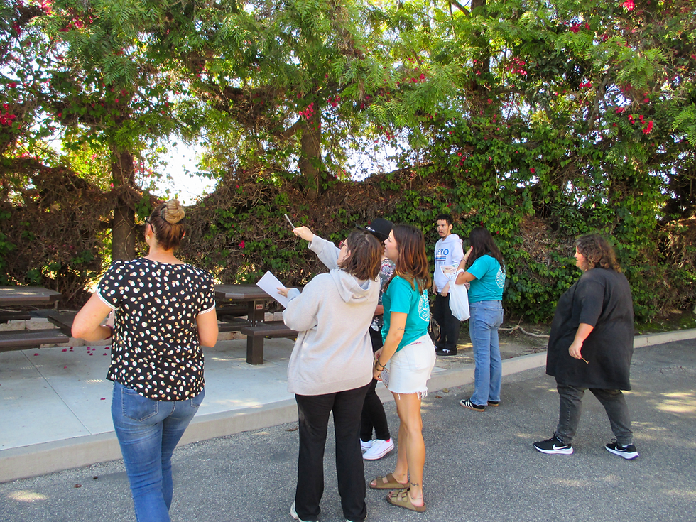 Scavenger Hunt & Celebration