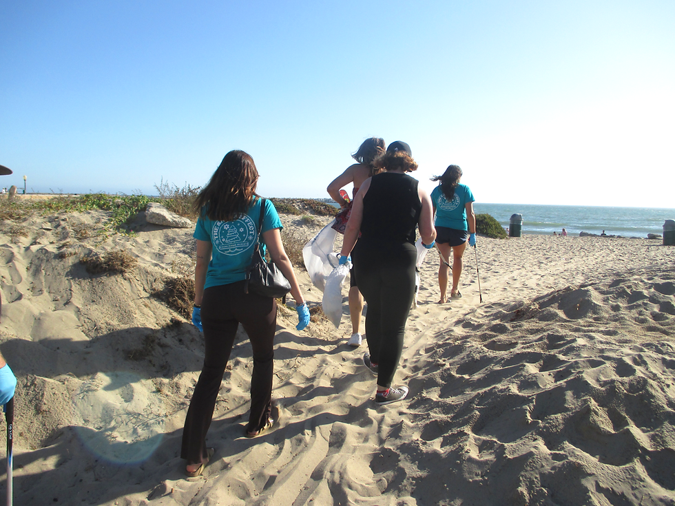 Beach Clean-Up & Movement