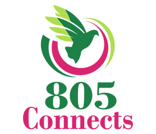 Logo for 805 Connects. A green bird with lime green wings is flying through three curved lines in green, pink, and lime green. Below the bird, the words “805 Connects” are written in bold letters—“805” in green and “Connects” in pink