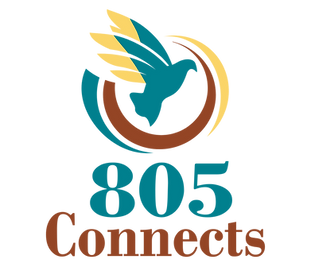 Logo for 805 Connects. A blue bird with yellow wings is flying through three curved lines in blue, brown, and yellow. Below the bird, the words “805 Connects” are written in bold letters—“805” in blue and “Connects” in brown.