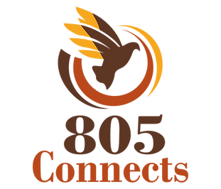 Logo for 805 Connects. A brown bird with yellow wings is flying through three curved lines in brown, red, and orange. Below the bird, the words “805 Connects” are written in bold letters—“805” in brown and “Connects” in red.
