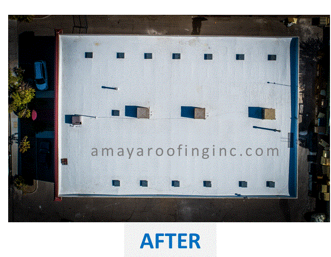 Production Court - AFTER