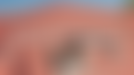 Dangers of a Leaky Roof