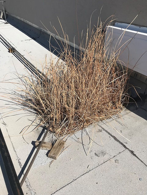 How Quarterly Roof Inspections Save Time and Money