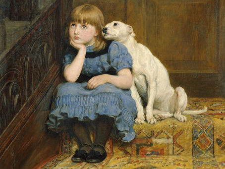 Picture Gallery Dog ‘Absolutely Bursting for a Shit’