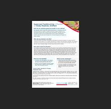 PICTURE BRUSH Case Study Park Lane (4).png