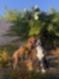 photo together.jpg