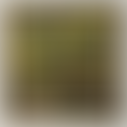 Serene pastoral scene featuring a small wooden bridge and dense greenery, disrupted by two overturned shopping carts and an orange traffic cone in the foreground. The contrast between nature and urban refuse evokes environmental critique.