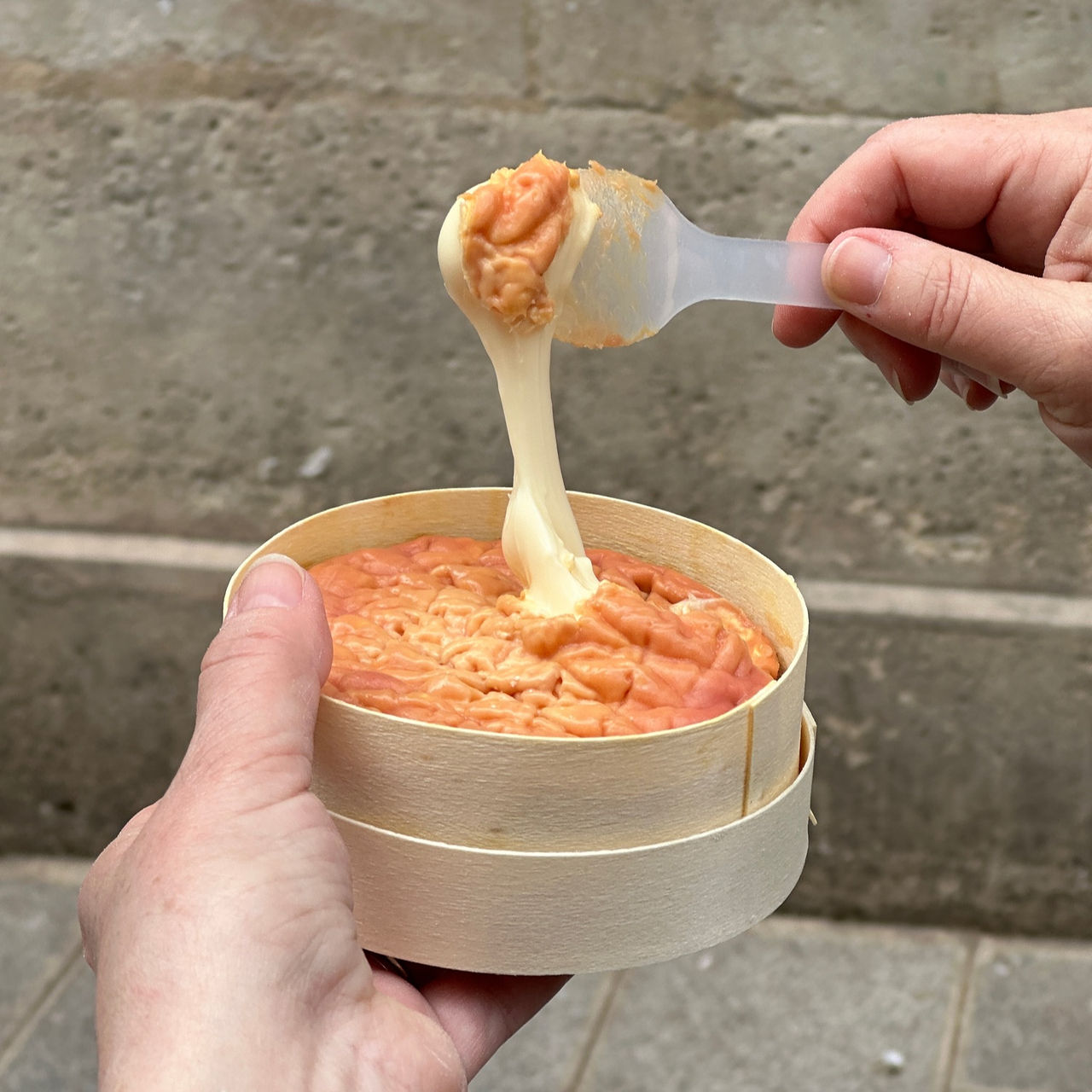 Delicious Gooey Earthy Cheese, Epoisses?