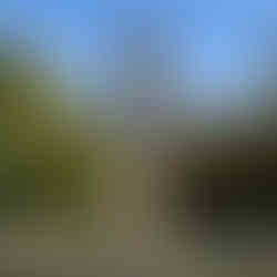 View of the Artichoke Fountai, Retiro Park, Madrid, Spain