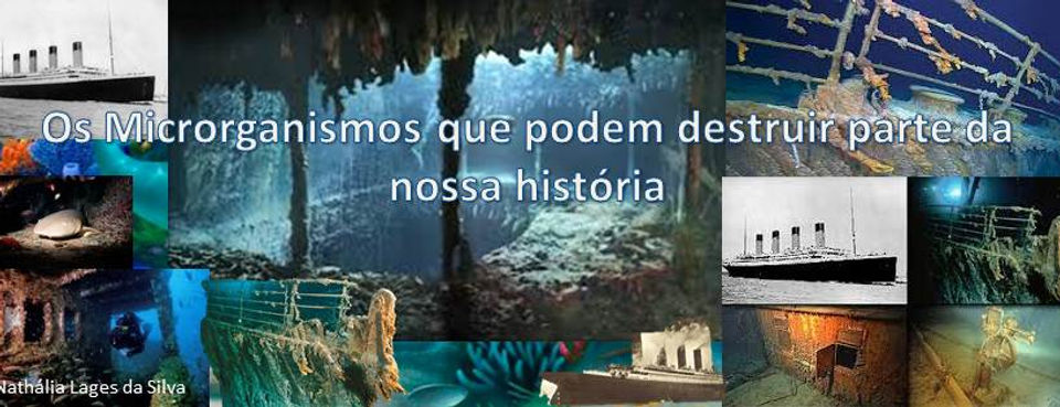 banner.JPG