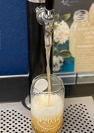 203kombucha.png