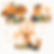 4F295D66-35D5-49F5-8CDA-F5522E5675CF.PNG