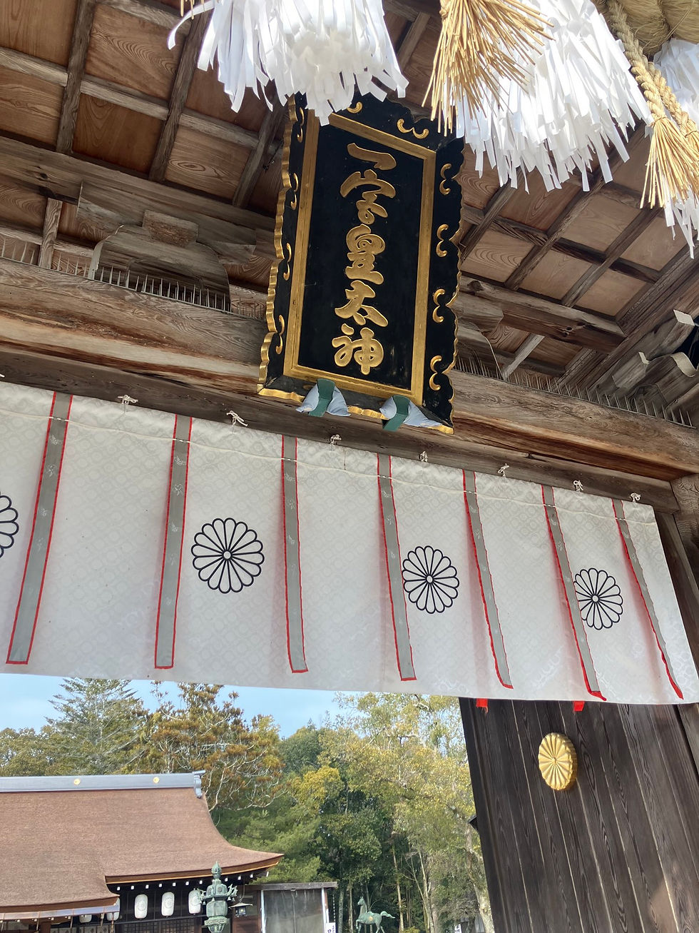 華美ではなく風格がありますね