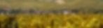 SMG_6424_edited.jpg