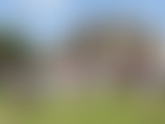 The Scottish Festival – An Immersive Journey into Scotland’s Soul