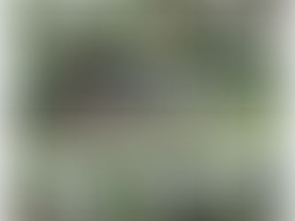 Arlo's Gone a Courtin'