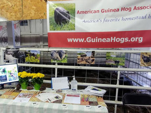 Mother Earth News Fair, Frederick Maryland