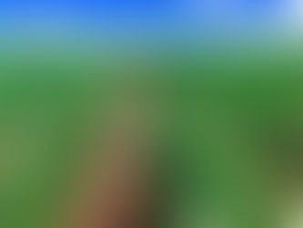 Agricultura Inteligente