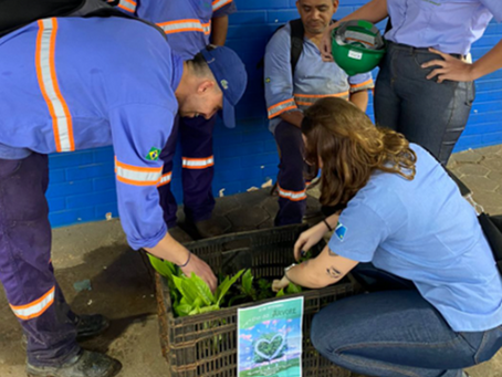 RAA CELEBRA O DIA DA ÁRVORE COM DISTRIBUIÇÃO DE MUDAS PARA COLABORADORES