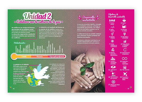 SJC_BOOK_DG__infografia copia 2.png