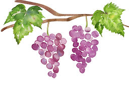 BOURGOGNE OU TOSCANE 2 _.jpeg