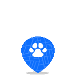 Animation - 1736530963056.gif