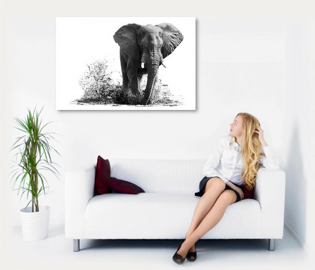 Metallic Print_Elephant