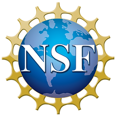 NSF_4-Color_bitmap_Logo.png
